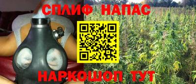 прущие грибы Азнакаево